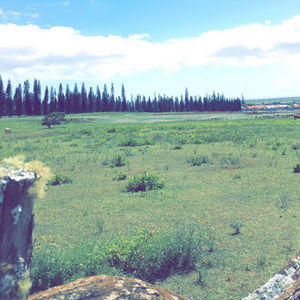 Meet your Posher, Noel